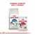Royal Canin Cat Indoor Adulto X 1,5 Kg en internet