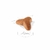 Royal Canin Pug Puppy X 3 Kg - comprar online
