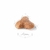 Royal Canin Pug Adulto X 3 Kg - comprar online