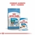 Royal Canin Pouch Mini Puppy X 85 Grs - comprar online