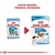 Royal Canin Pouch Mini Puppy X 85 Grs en internet