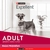 Excellent Perros Adultos hasta 7 Años Razas Pequeñas X 15 Kg - comprar online