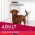 Excellent Perros Adultos Razas Medianas y Grandes x 20 Kg - comprar online