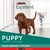 Excellent Cachorros hasta 24 meses Razas Medianas y Grandes x 20 Kg - comprar online