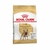 Royal Canin Bulldog Frances Adulto X 7,5 Kg
