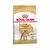 Royal Canin Caniche Adulto X 3 Kg