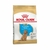 Royal Canin Caniche Puppy X 3 Kg
