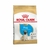 Royal Canin Pug Puppy X 3 Kg