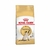 Royal Canin Siamese X 1,5 Kg