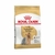 Royal Canin Yorkshire Terrier Adulto X 3 Kg