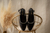 Slingback Eleanor na internet