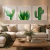 Kit 3 Quadros Decorativos Cactos