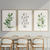 Kit 3 Quadros Decorativos Só o bem Fica - comprar online