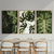 Kit 3 Quadros Decorativos Folhas II - comprar online