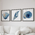Kit 3 Quadros Decorativos Conchas - comprar online