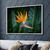 Quadro Decorativo Coleção Strelitzia - comprar online