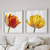 Kit 2 Quadros Decorativos Tulipas III - comprar online