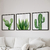 Kit 3 Quadros Decorativos Cactos - buy online