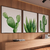 Kit 3 Quadros Decorativos Cactos