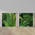 Kit 2 Quadros Decorativos Folhagem Folhas Verdes - comprar online