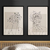 Kit 2 Quadros Decorativos Mulheres Linhas Flores