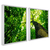 Kit 2 Quadros Decorativos Árvore da Vida IV Verde Tronco