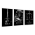 Kit 3 Quadros Decorativos Animais Empresários - (cópia)