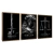 Image of Kit 3 Quadros Decorativos Animais Empresários - (cópia)