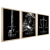 Kit 3 Quadros Decorativos Animais Empresários - (cópia) on internet