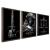 Kit 3 Quadros Decorativos Animais Empresários - (cópia)