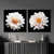 Quadro Decorativo 2 Telas Florais e Folhagens Margaridas em fundo preto - comprar online