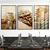 Kit 3 Quadros Decorativos Profissões Contabilidade Caduceu Dinheiro Gráfico Exponencial - comprar online