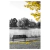 Kit 2 Quadros Decorativos Árvores Paisagem Natureza Amarela - Outlet dos Quadros | Maior fábrica da América Latina