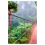 Kit 2 Quadros Decorativos Floresta Tropical - loja online