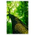 Imagem do Kit 2 Quadros Decorativos Árvore da Vida IV Verde Tronco