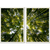 Kit 2 Quadros Decorativos Natureza Árvores Vista na internet