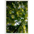 Kit 2 Quadros Decorativos Natureza Árvores Vista - Outlet dos Quadros | Maior fábrica da América Latina