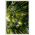 Kit 2 Quadros Decorativos Natureza Árvores Vista - loja online