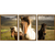 Kit 3 Quadros Decorativos Cavalos II na internet
