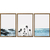 Kit 3 Quadros Decorativos Tropical II na internet