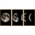 Kit 3 Quadros Decorativos Luas na internet