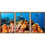 Kit 3 Quadros Decorativos Fundo do Mar na internet