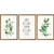 Kit 3 Quadros Decorativos Só o bem Fica na internet