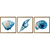 Kit 3 Quadros Decorativos Conchas na internet