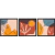 Kit 3 Quadros Decorativos Composição II na internet