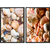 Kit 2 Quadros Decorativos Conchas II on internet