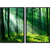 Kit 2 Quadros Decorativos Floresta na internet