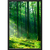 Quadro Decorativo Floresta II on internet