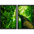 Kit 2 Quadros Decorativos Árvore da Vida IV Verde Tronco on internet