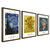 Kit 3 Quadros Decorativos Vincent Van Gogh - Trio II